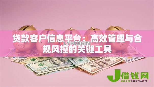 贷款客户信息平台:高效管理与合规风控的关键工具 贷款客户信息平台:高效管理与合规风控的关键工具