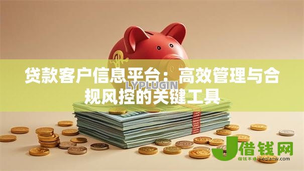 贷款客户信息平台:高效管理与合规风控的关键工具 贷款客户信息平台:高效管理与合规风控的关键工具