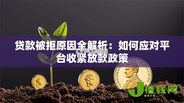 贷款被拒原因全解析：如何应对平台收紧放款政策