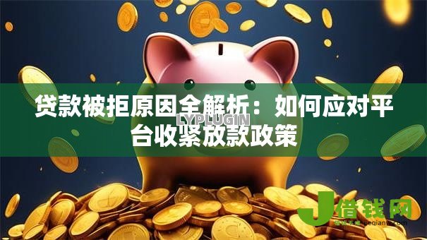 贷款被拒原因全解析：如何应对平台收紧放款政策