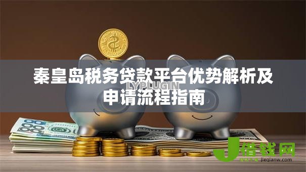 秦皇岛税务贷款平台优势解析及申请流程指南 秦皇岛税务贷款平台优势解析及申请流程指南