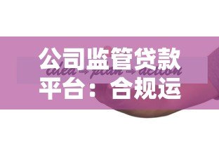 公司监管贷款平台：合规运营与风险控制的五大核心策略
