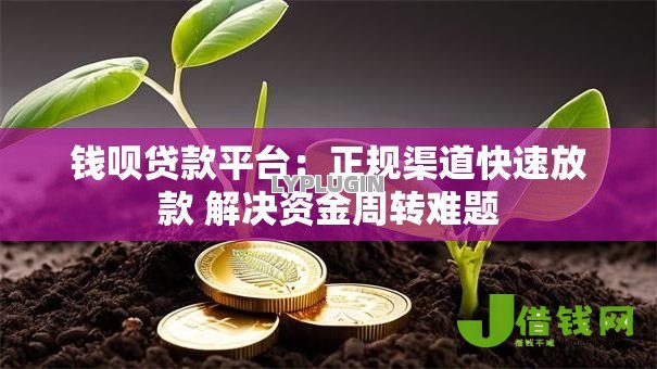 钱呗贷款平台：正规渠道快速放款 解决资金周转难题
