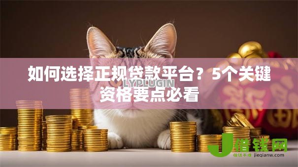 如何选择正规贷款平台？5个关键资格要点必看