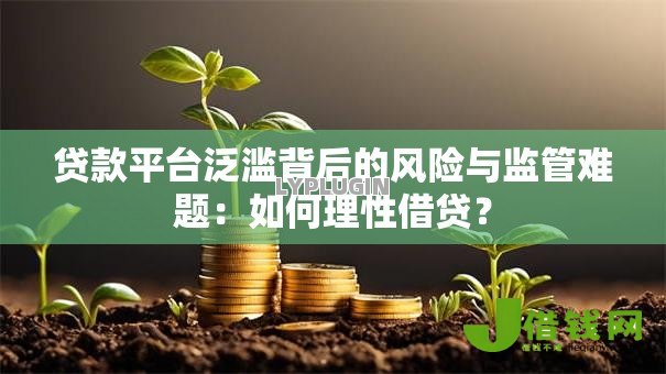 贷款平台泛滥背后的风险与监管难题：如何理性借贷？