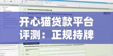 开心猫贷款平台评测：正规持牌机构如何快速申请低息贷款？