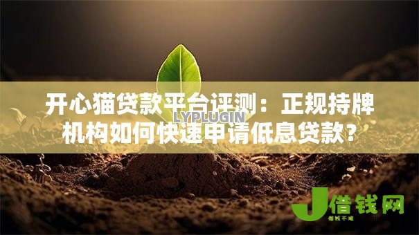 开心猫贷款平台评测：正规持牌机构如何快速申请低息贷款？