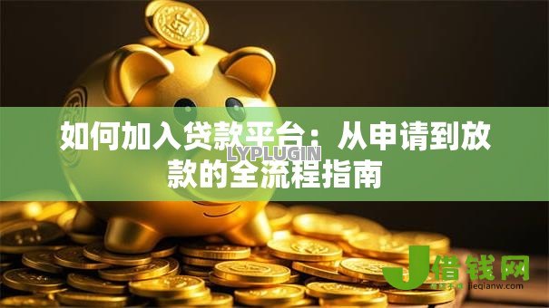 如何加入贷款平台：从申请到放款的全流程指南