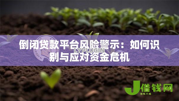 倒闭贷款平台风险警示:如何识别与应对资金危机 倒闭贷款平台风险警示:如何识别与应对资金危机