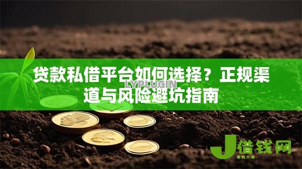 贷款私借平台如何选择？正规渠道与风险避坑指南