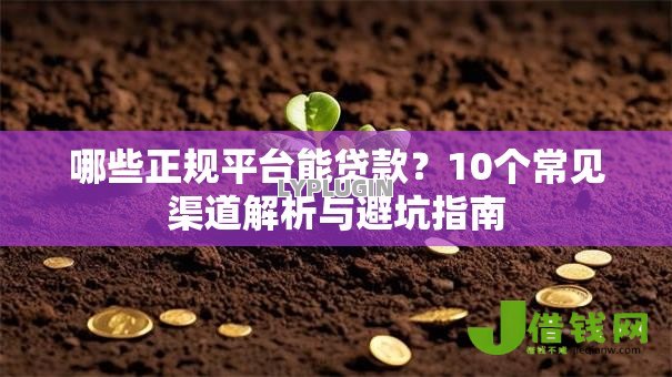 哪些正规平台能贷款?10个常见渠道解析与避坑指南 哪些正规平台能贷款?10个常见渠道解析与避坑指南