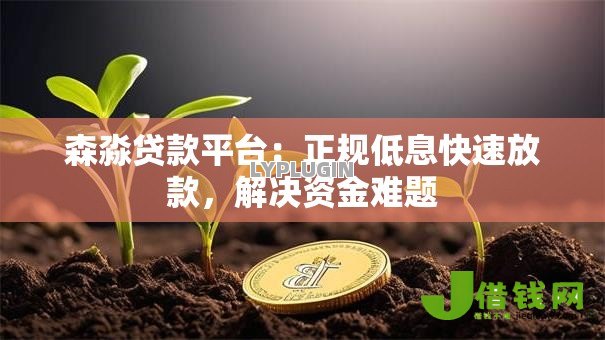 森淼贷款平台:正规低息快速放款,解决资金难题 森淼贷款平台:正规低息快速放款,解决资金难题