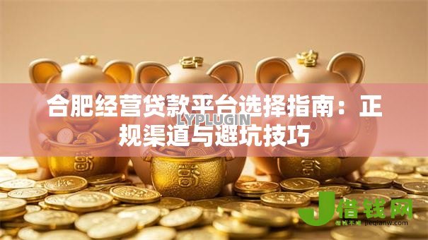 合肥经营贷款平台选择指南:正规渠道与避坑技巧 合肥经营贷款平台选择指南:正规渠道与避坑技巧