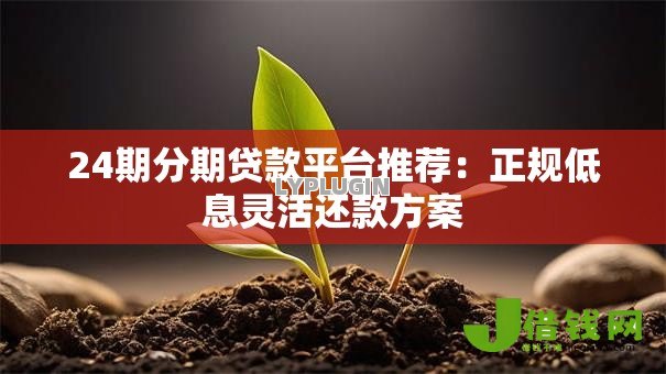 24期分期贷款平台推荐：正规低息灵活还款方案