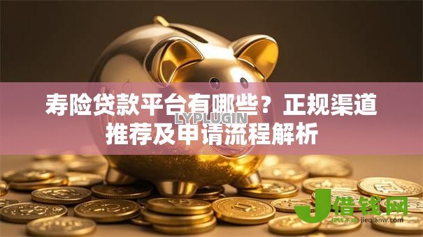 寿险贷款平台有哪些?正规渠道推荐及申请流程解析 寿险贷款平台有哪些?正规渠道推荐及申请流程解析