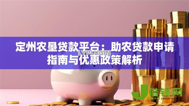 定州农垦贷款平台：助农贷款申请指南与优惠政策解析