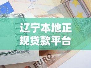 辽宁本地正规贷款平台盘点：快速借款指南与避坑技巧