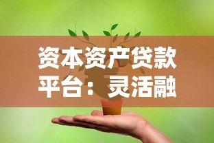 资本资产贷款平台:灵活融资解决方案助力企业成长 资本资产贷款平台:灵活融资解决方案助力企业成长