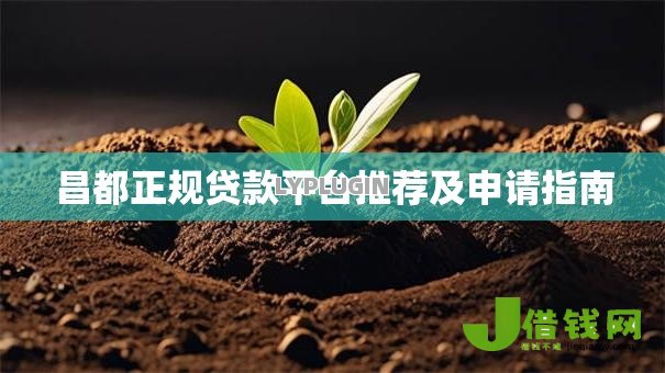 昌都正规贷款平台推荐及申请指南 昌都正规贷款平台推荐及申请指南