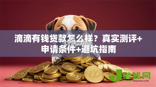 滴滴有钱贷款怎么样?真实测评+申请条件+避坑指南 滴滴有钱贷款怎么样?真实测评+申请条件+避坑指南