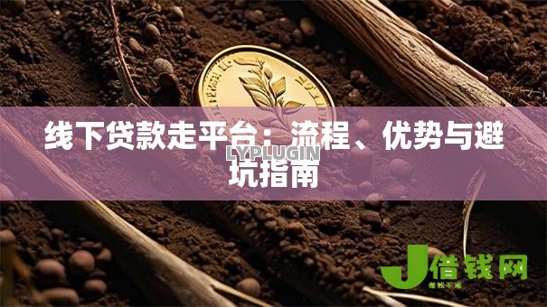 线下贷款走平台：流程、优势与避坑指南