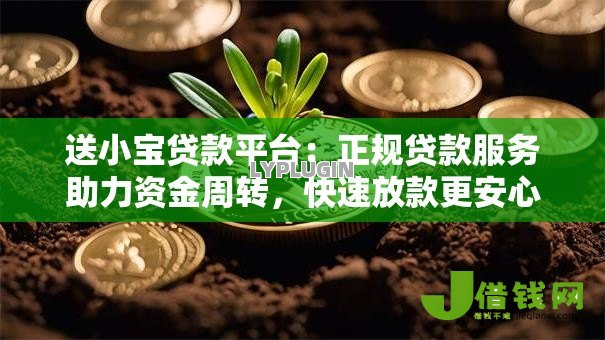 送小宝贷款平台：正规贷款服务助力资金周转，快速放款更安心