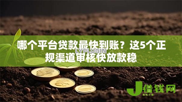 哪个平台贷款最快到账？这5个正规渠道审核快放款稳