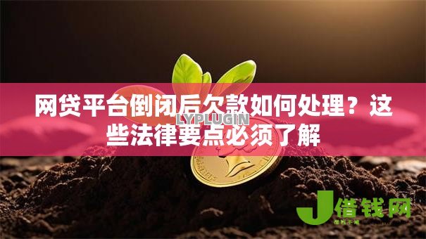 网贷平台倒闭后欠款如何处理？这些法律要点必须了解