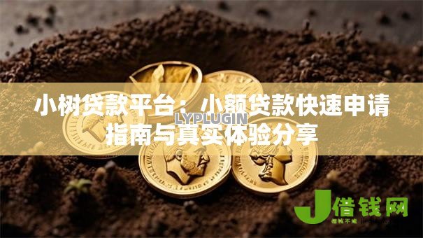 小树贷款平台：小额贷款快速申请指南与真实体验分享