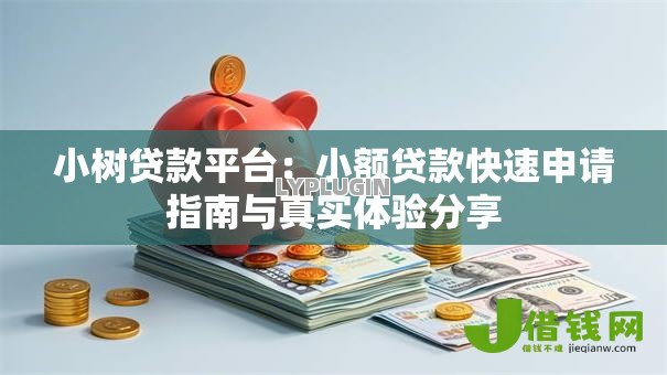 小树贷款平台：小额贷款快速申请指南与真实体验分享