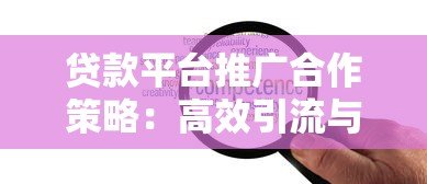 贷款平台推广合作策略:高效引流与精准获客指南 贷款平台推广合作策略:高效引流与精准获客指南