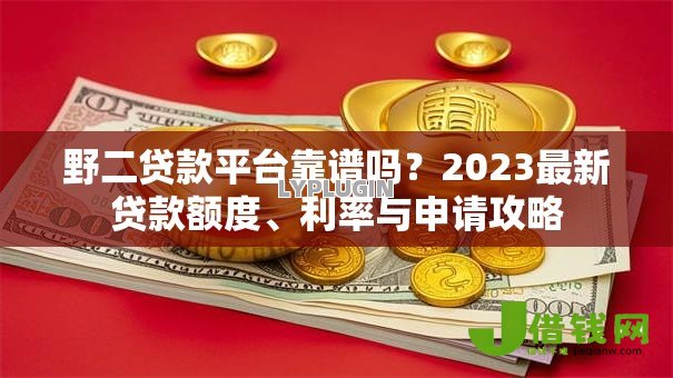 野二贷款平台靠谱吗？2023最新贷款额度、利率与申请攻略