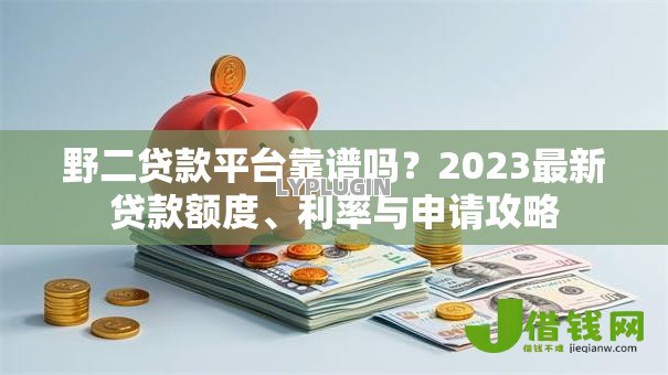 野二贷款平台靠谱吗？2023最新贷款额度、利率与申请攻略