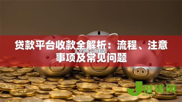 贷款平台收款全解析：流程、注意事项及常见问题
