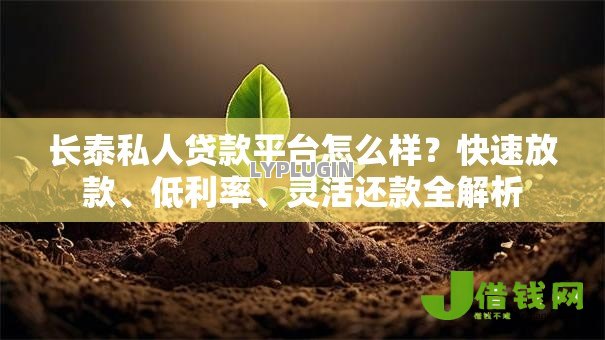 长泰私人贷款平台怎么样?快速放款、低利率、灵活还款全解析 长泰私人贷款平台怎么样?快速放款、低利率、灵活还款全解析