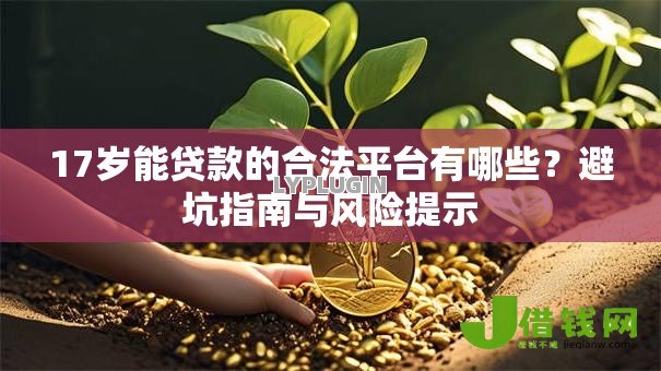 17岁能贷款的合法平台有哪些？避坑指南与风险提示