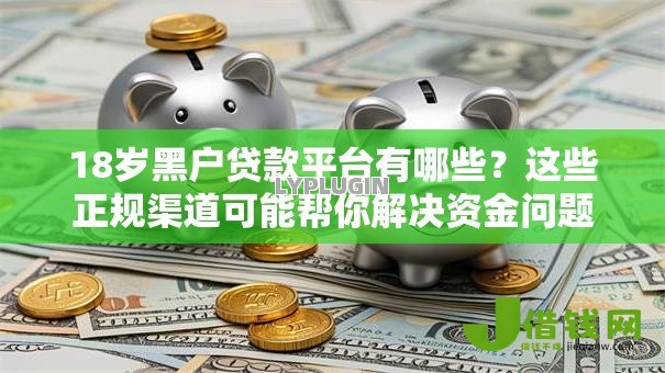 18岁黑户贷款平台有哪些？这些正规渠道可能帮你解决资金问题