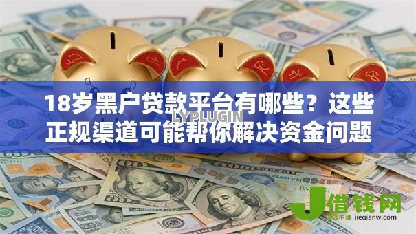 18岁黑户贷款平台有哪些？这些正规渠道可能帮你解决资金问题