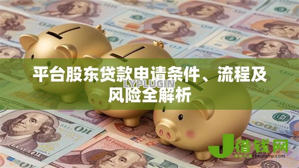 平台股东贷款申请条件、流程及风险全解析