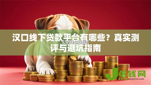 汉口线下贷款平台有哪些?真实测评与避坑指南 汉口线下贷款平台有哪些?真实测评与避坑指南