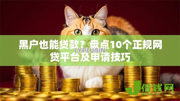 黑户也能贷款?盘点10个正规网贷平台及申请技巧 黑户也能贷款?盘点10个正规网贷平台及申请技巧