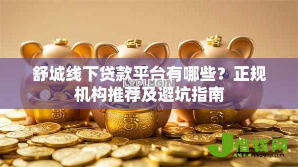 舒城线下贷款平台有哪些？正规机构推荐及避坑指南
