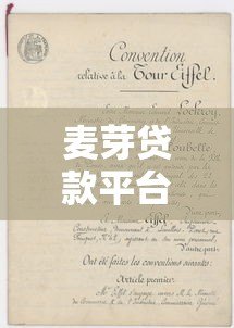 麦芽贷款平台:正规低息贷款攻略与申请流程解析 麦芽贷款平台:正规低息贷款攻略与申请流程解析