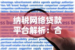 纳税网络贷款平台解析：合规运营与用户权益保障指南