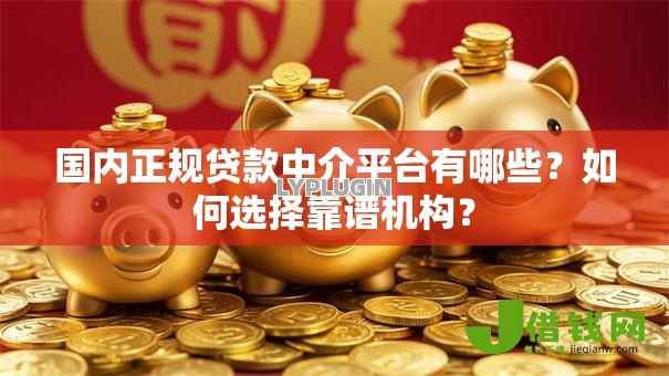 国内正规贷款中介平台有哪些？如何选择靠谱机构？