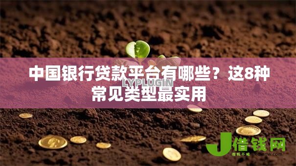 中国银行贷款平台有哪些?这8种常见类型最实用 中国银行贷款平台有哪些?这8种常见类型最实用