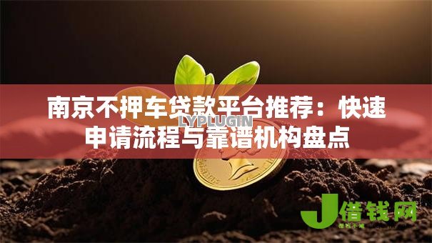 南京不押车贷款平台推荐：快速申请流程与靠谱机构盘点