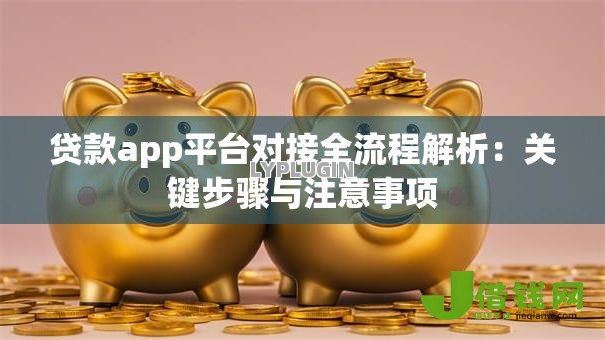 贷款app平台对接全流程解析:关键步骤与注意事项 贷款app平台对接全流程解析:关键步骤与注意事项