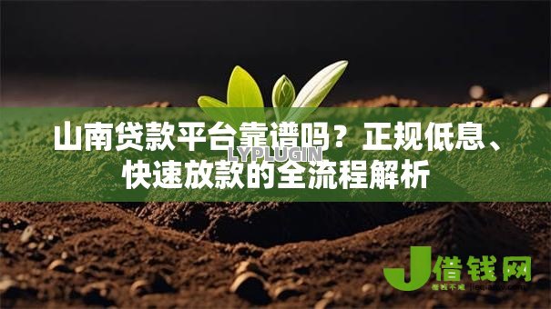 山南贷款平台靠谱吗?正规低息、快速放款的全流程解析 山南贷款平台靠谱吗?正规低息、快速放款的全流程解析
