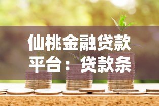 仙桃金融贷款平台：贷款条件、流程及常见问题详解